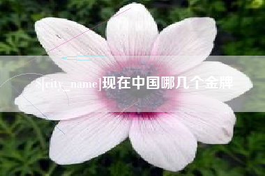 云梦现在中国哪几个金牌