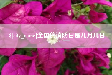 云梦全国的消防日是几月几日