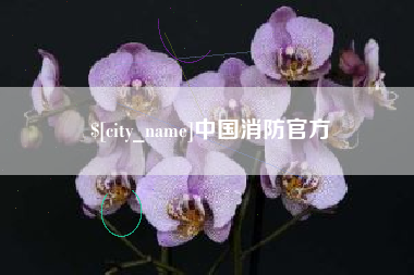 云梦中国消防官方