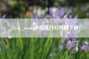 云梦中国执行公开网下载