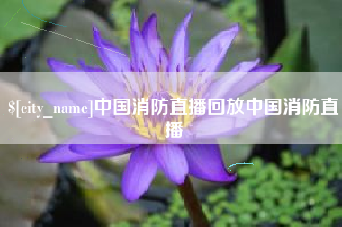 云梦中国消防直播回放中国消防直播