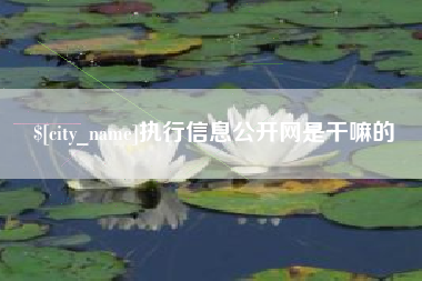 云梦执行信息公开网是干嘛的