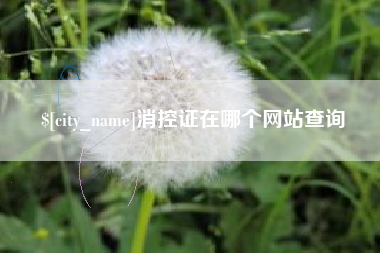 云梦消控证在哪个网站查询