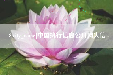 云梦中国执行信息公开网失信