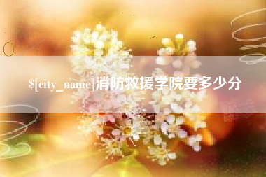 云梦消防救援学院要多少分