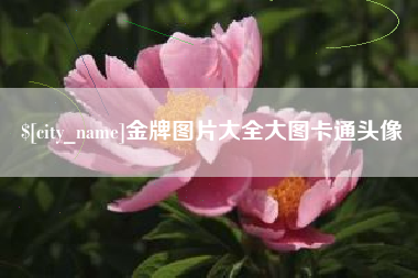 云梦金牌图片大全大图卡通头像