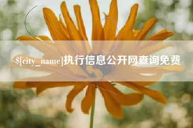 云梦执行信息公开网查询免费