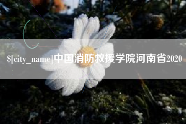 云梦中国消防救援学院河南省2020